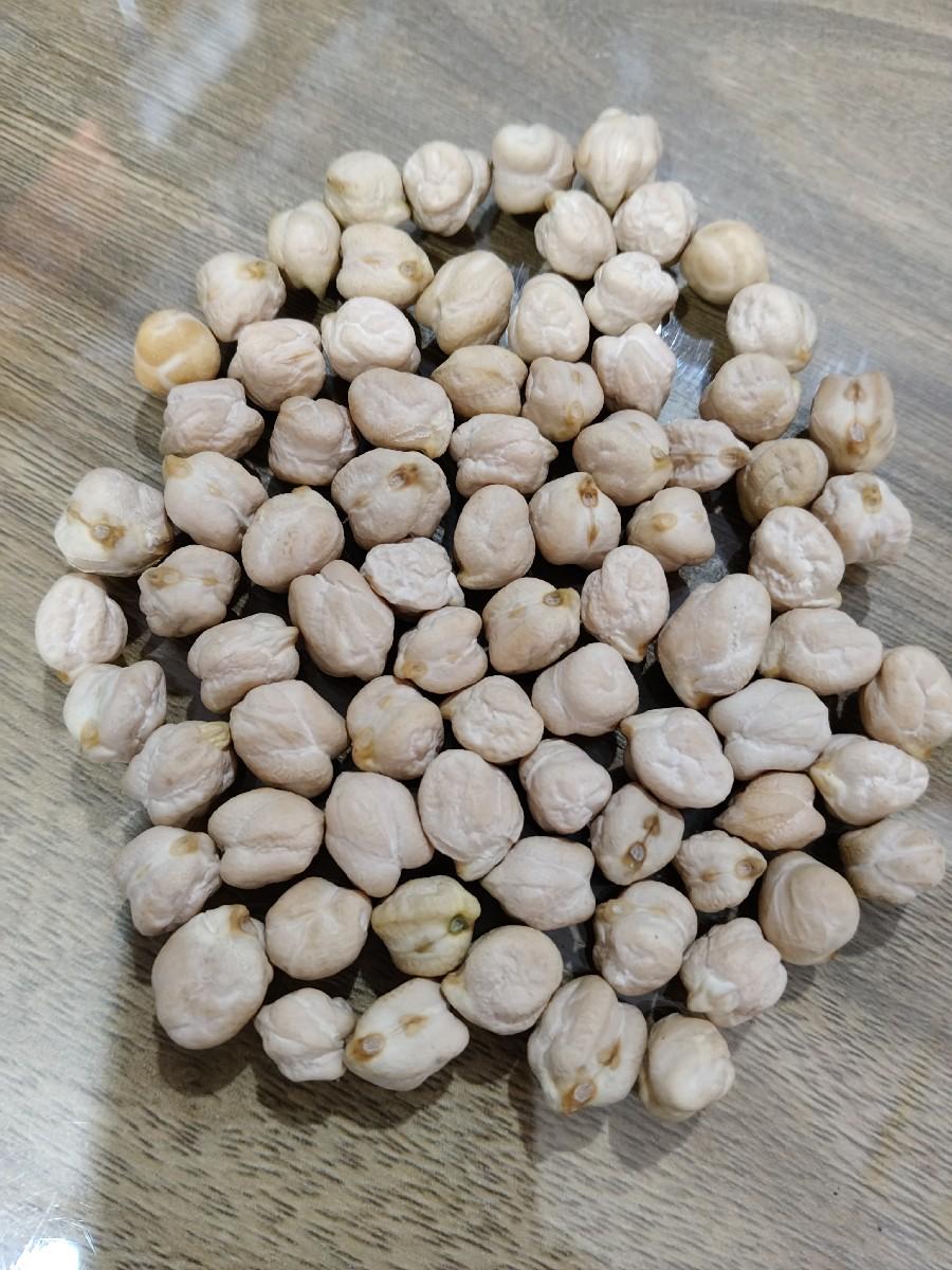 કાબુલી ચણા 
૧ નંબર