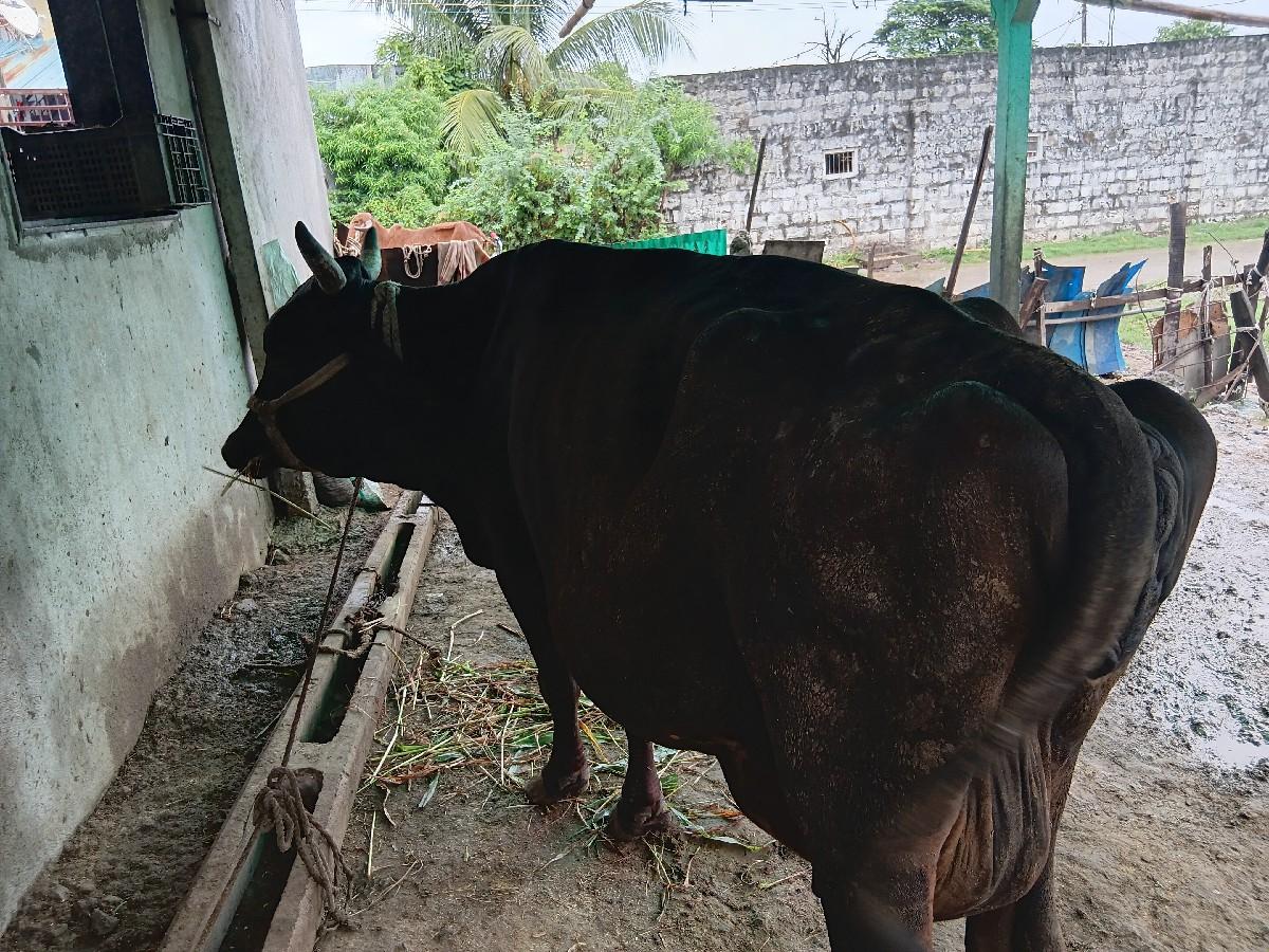 થંબનેલ 2