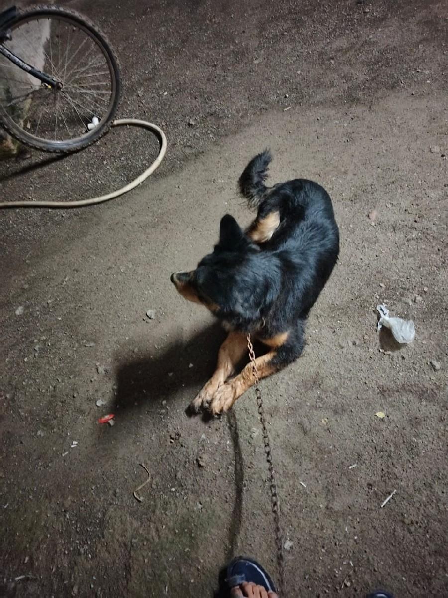 થંબનેલ 2