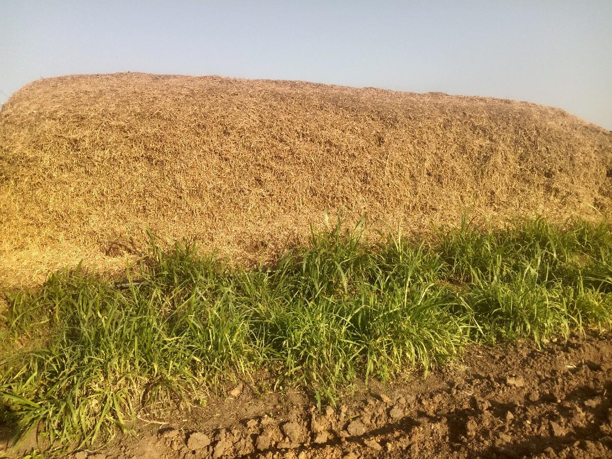 મગફળીનો પાલો વેચવાનો છે