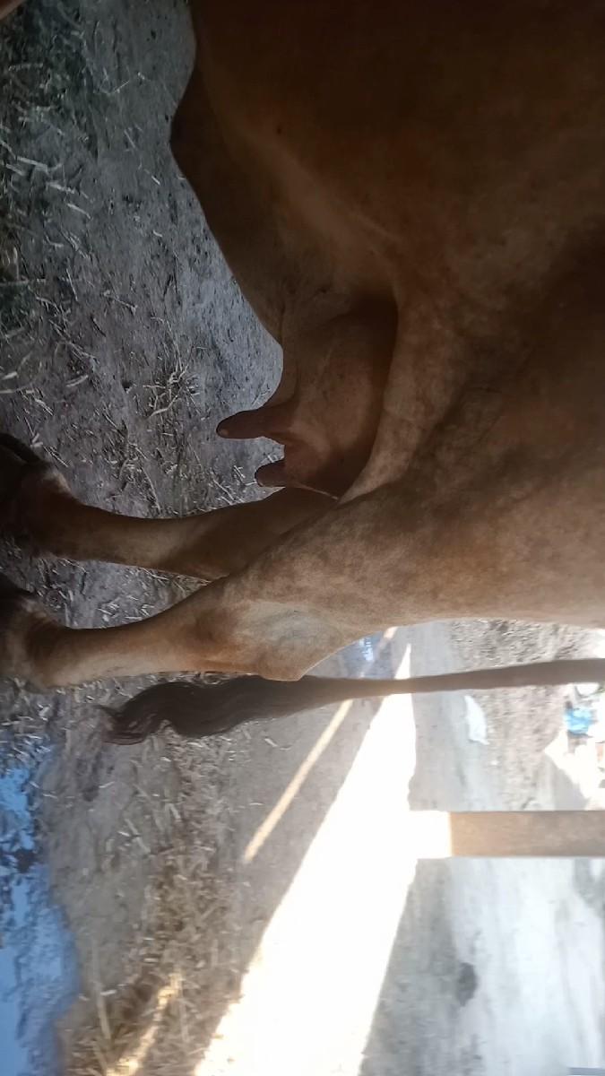 થંબનેલ 3