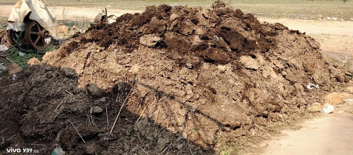 દેશી સાનિયું ખાતર