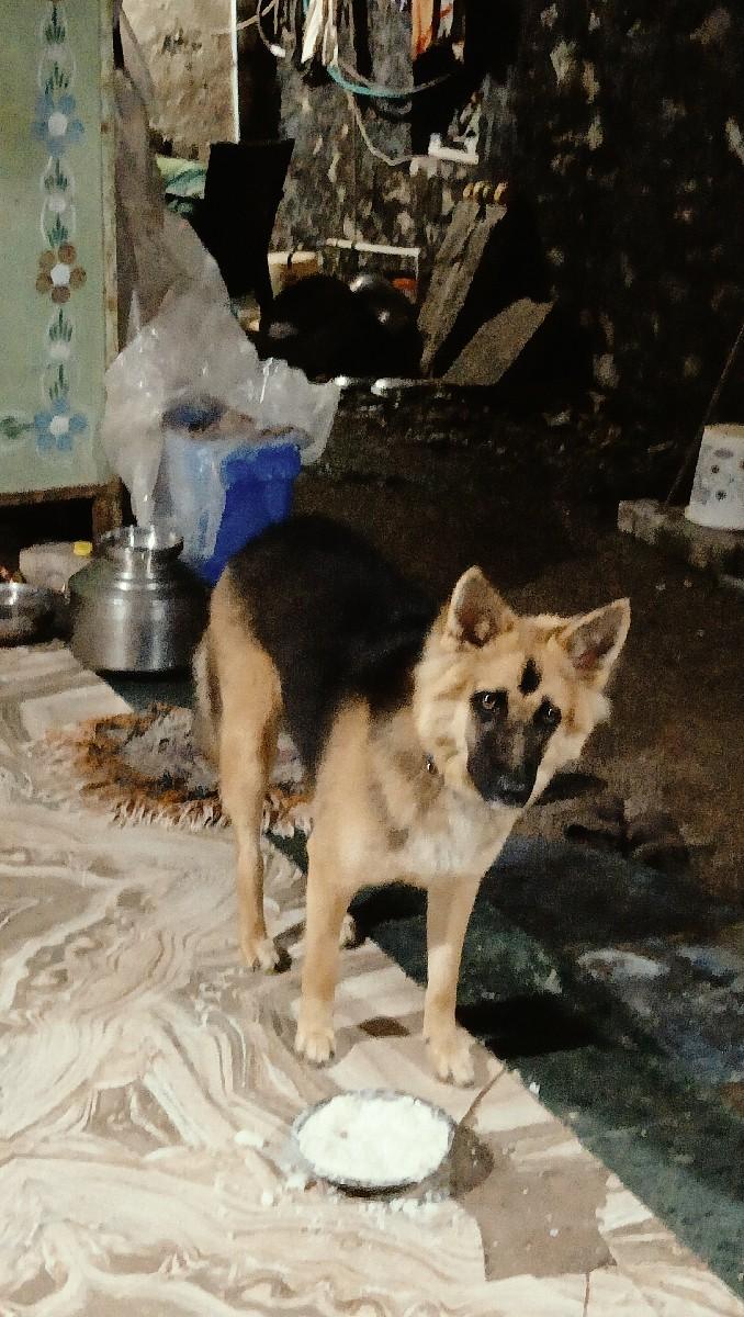 થંબનેલ 3