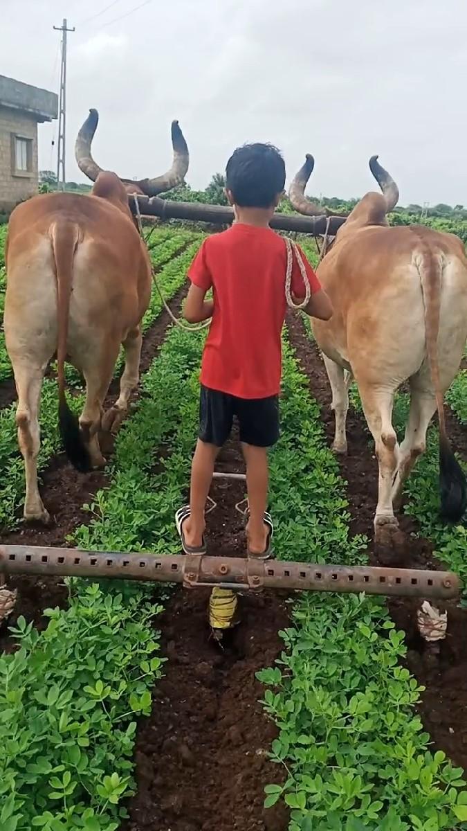 vesvana se 4 vavni karel