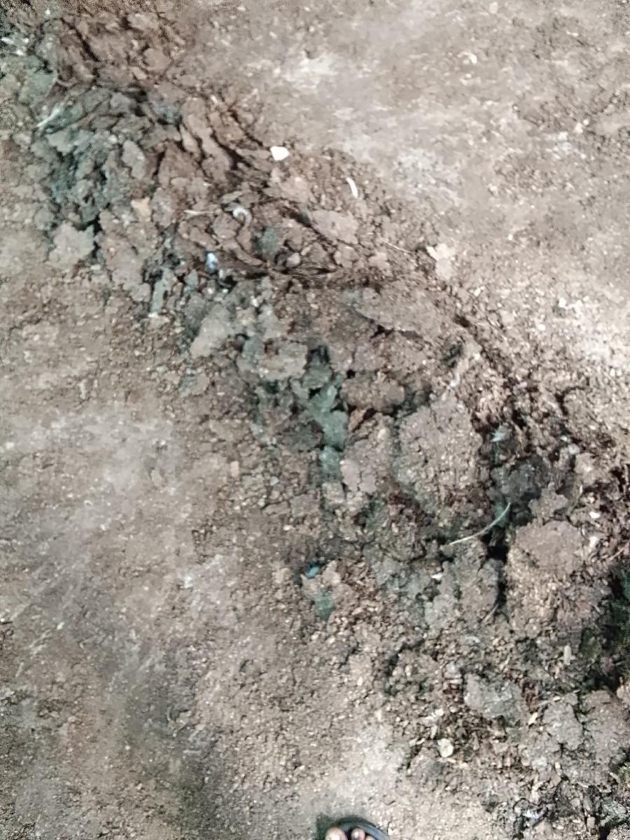 Boilar murgha nu khatar vechvanu