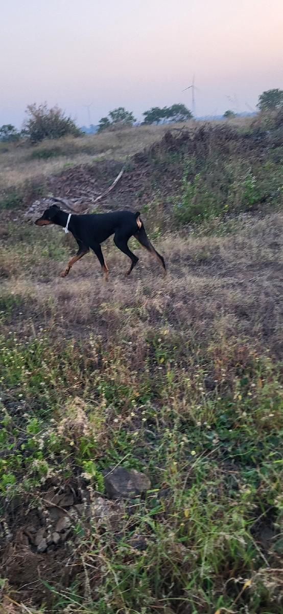 થંબનેલ 3