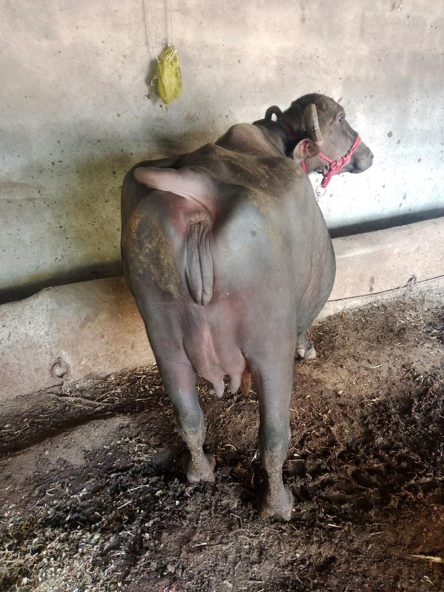 થંબનેલ 2