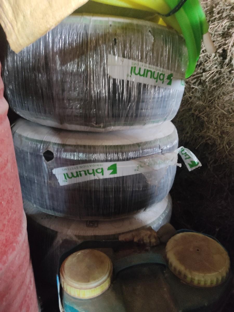 થંબનેલ 2