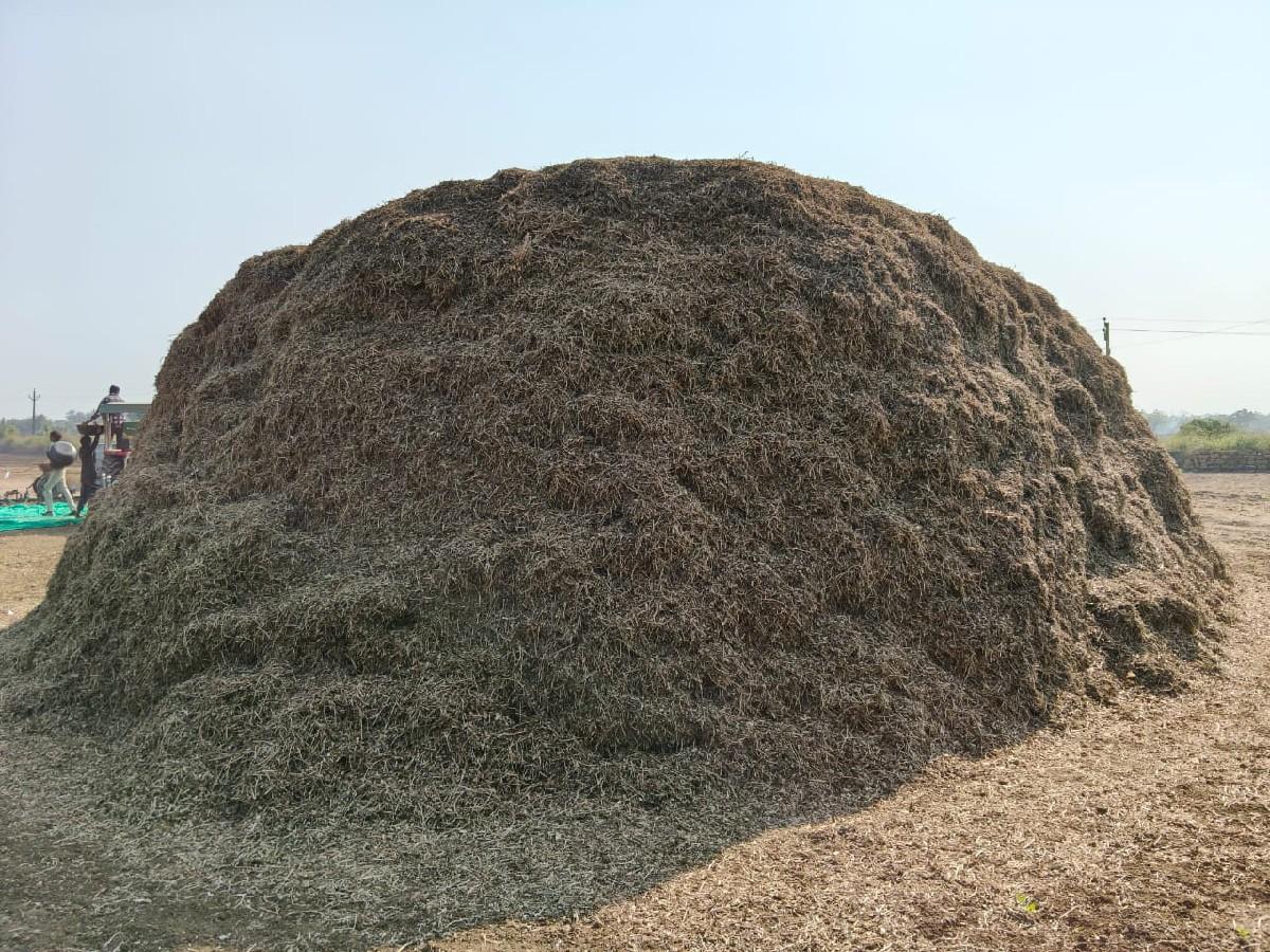 G-20 મગફળી નો ભૂકો વેચવાનો છે.