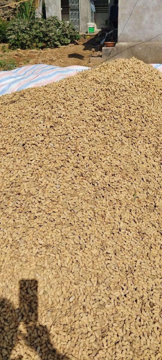 kori mandavi j 20 no vechvani