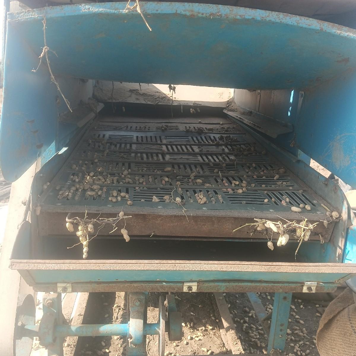 થંબનેલ 2