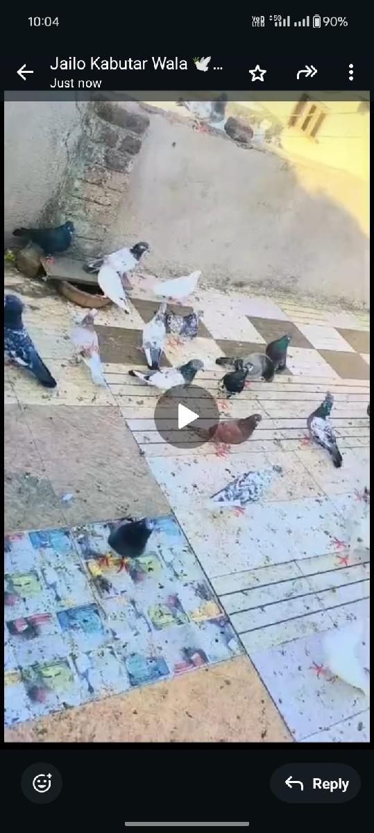 થંબનેલ 3