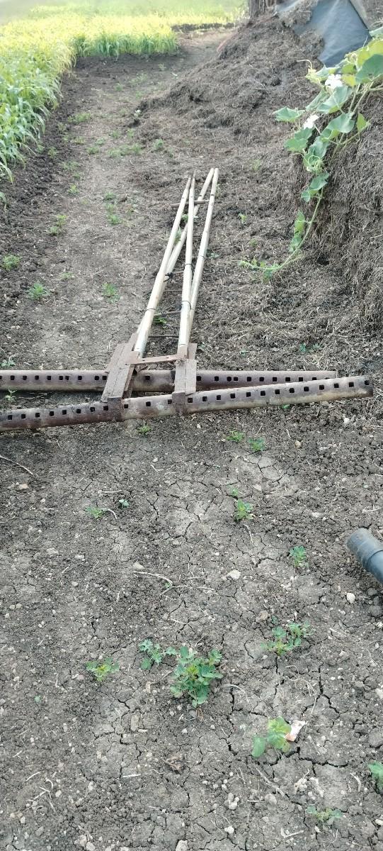 થંબનેલ 2