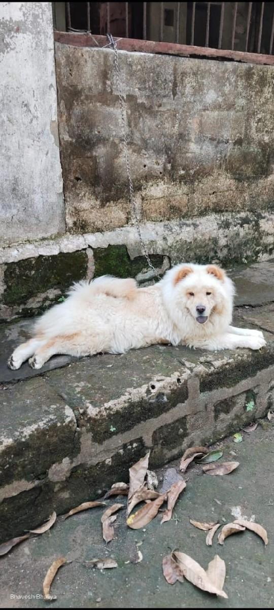 થંબનેલ 2