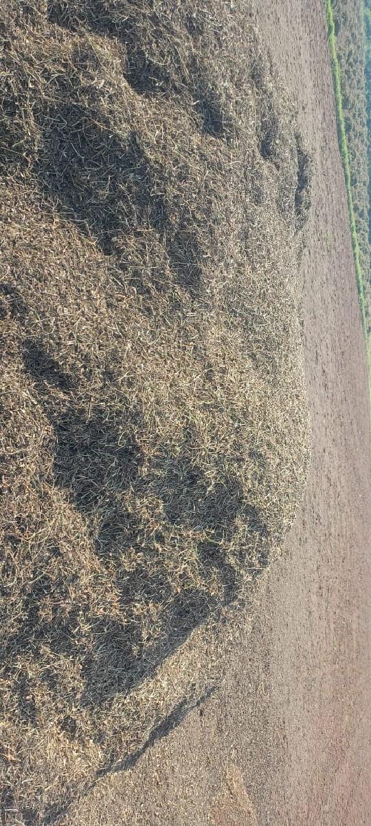 માંડવીયુ વેચવાનું છે