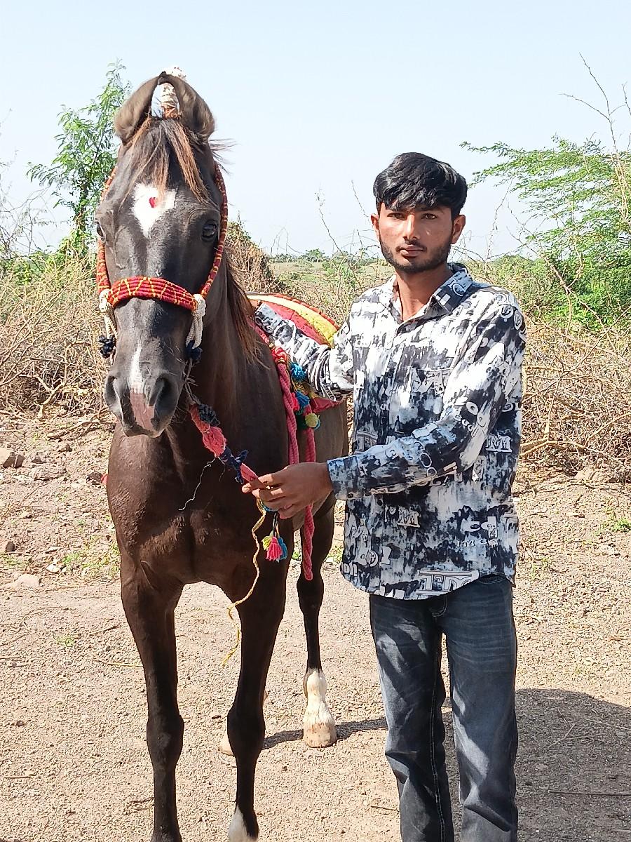 થંબનેલ 2