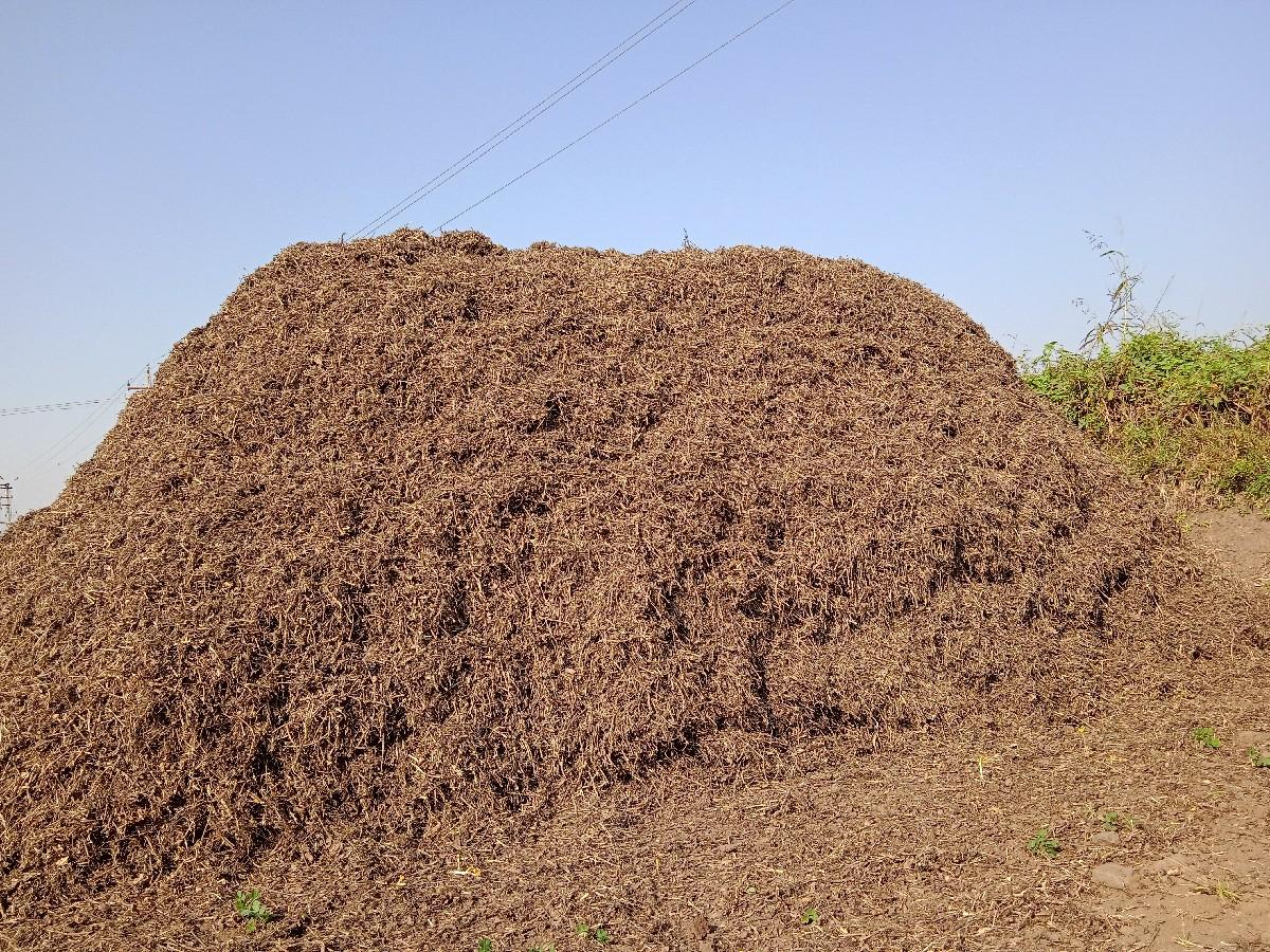 બીટી 32 નો ભુકો વેસવાનો સે