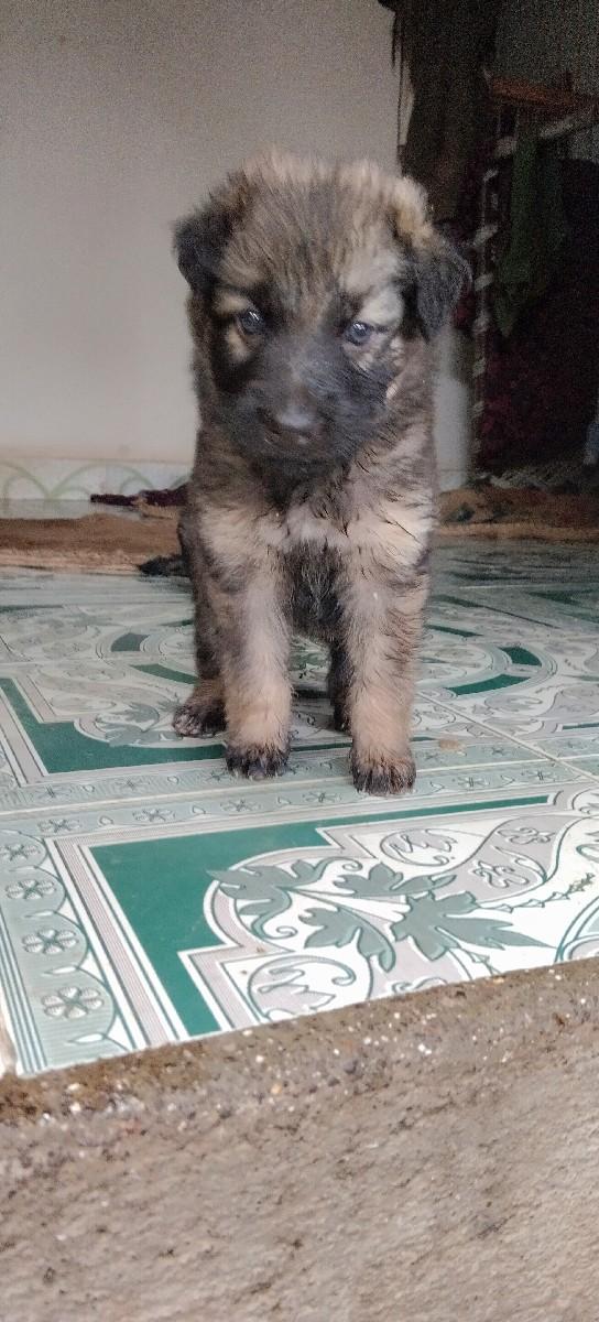 થંબનેલ 3