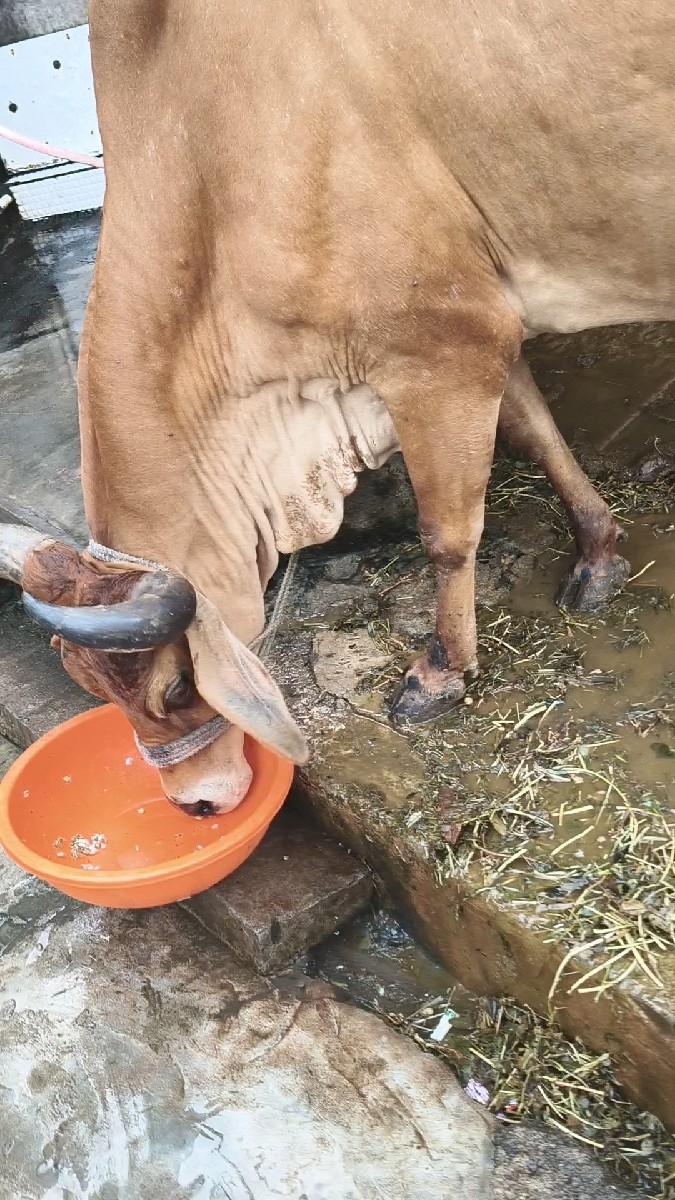 થંબનેલ 2