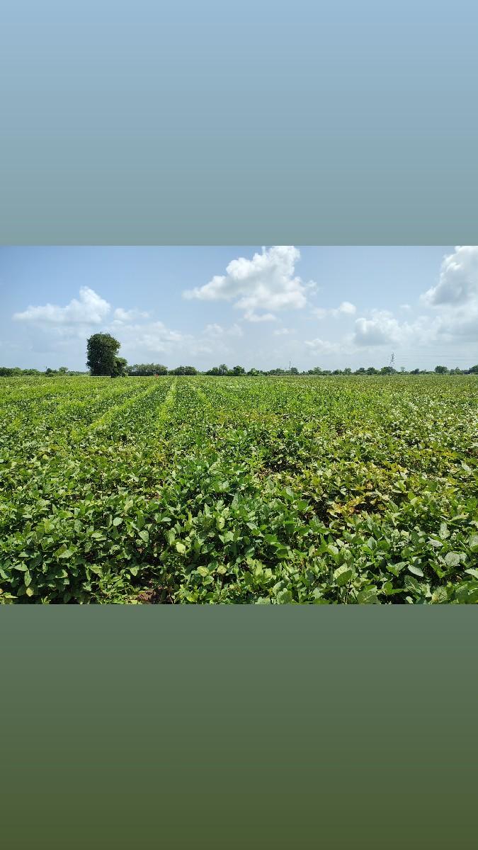 થંબનેલ 3