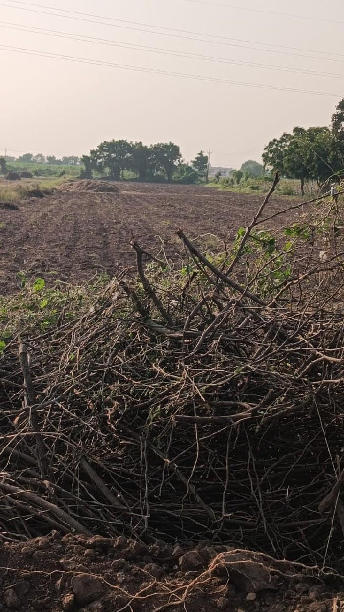 મારે જમીન લેવાની છે.