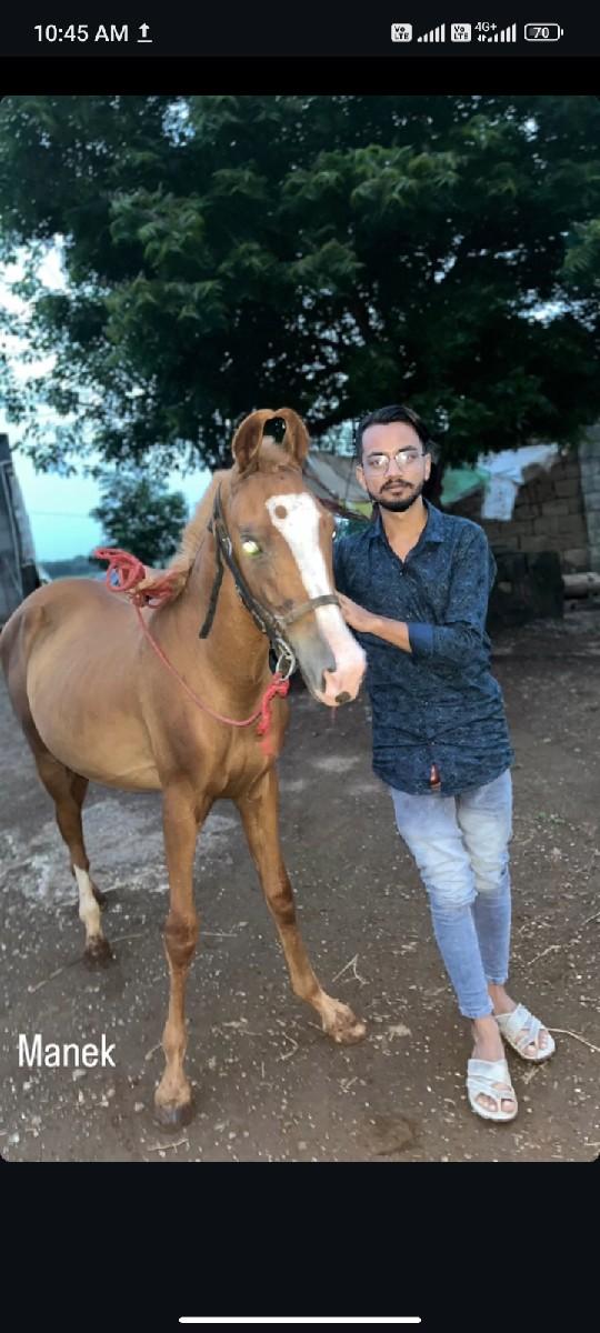 થંબનેલ 3