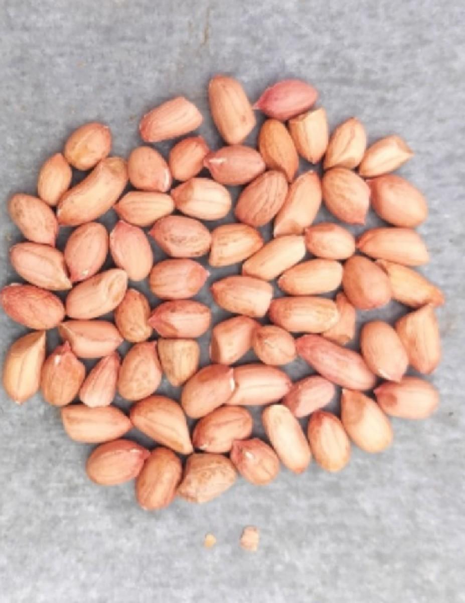 થંબનેલ 3