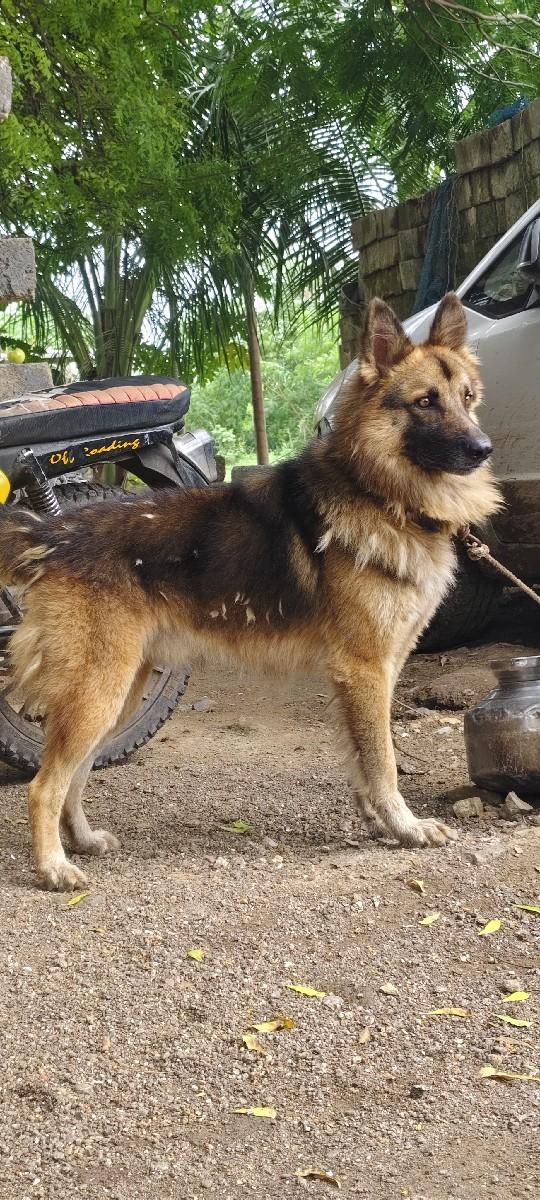 થંબનેલ 3