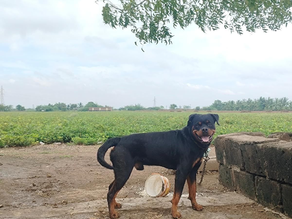 થંબનેલ 2