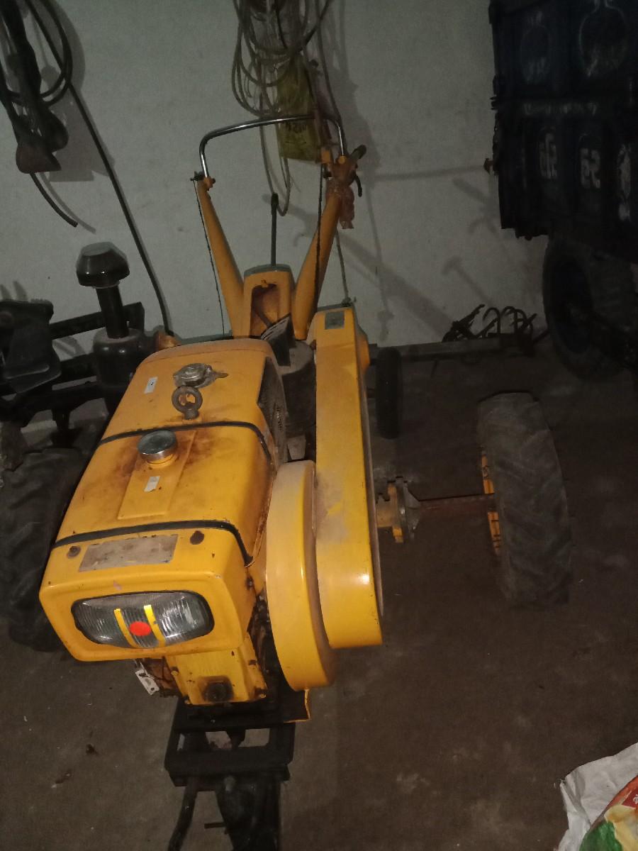 શિંગડા વરુ 2021 મોડલ