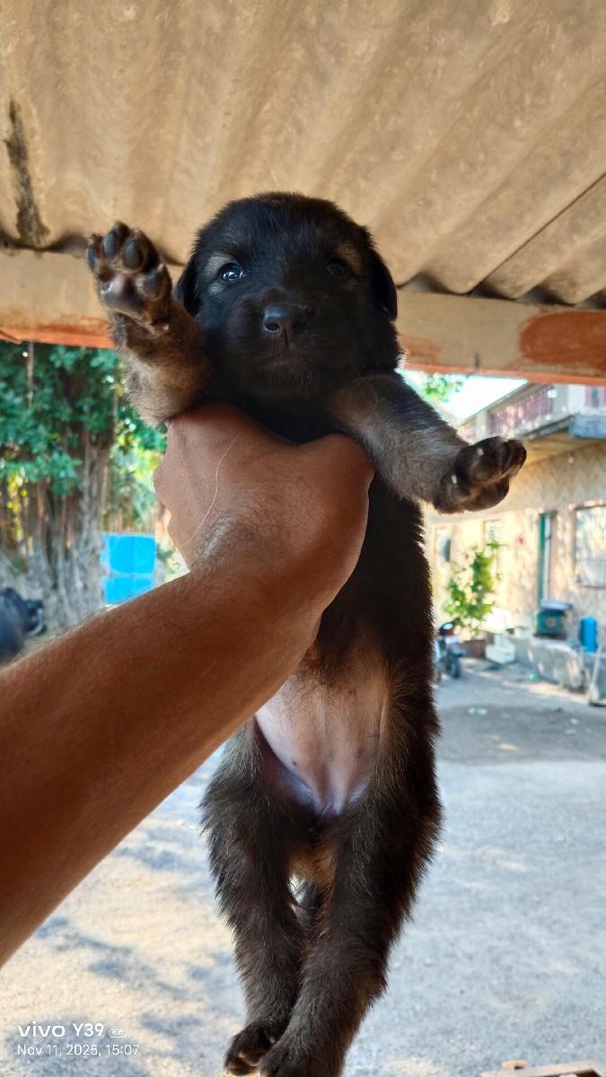 થંબનેલ 2