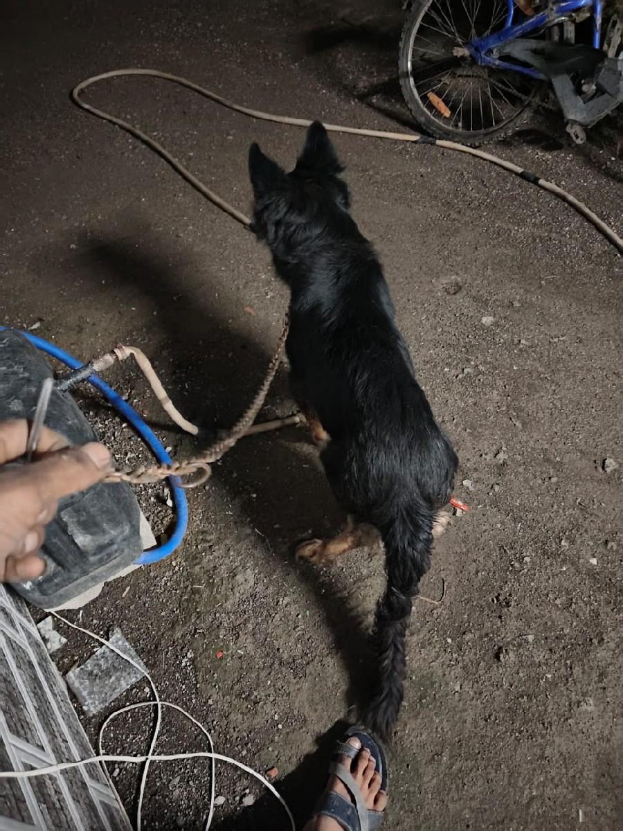 થંબનેલ 3