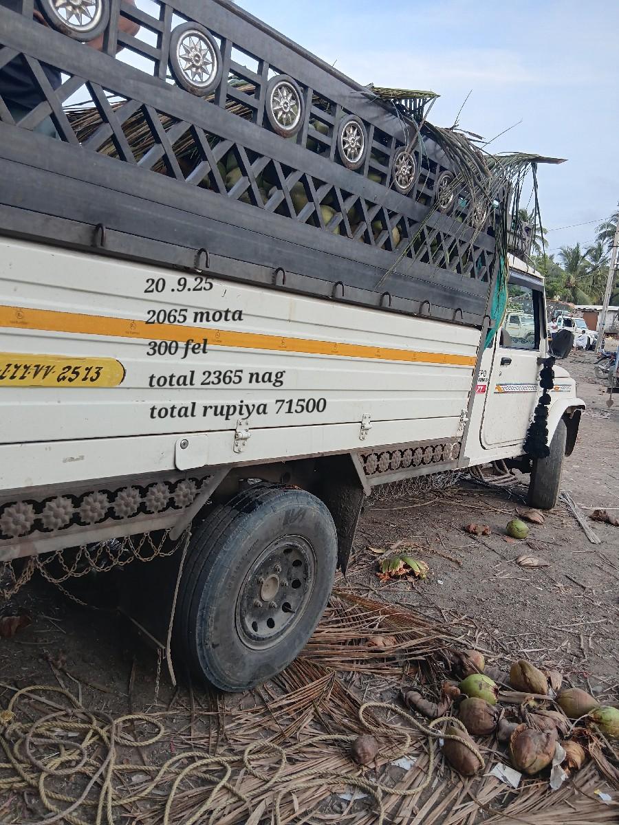 થંબનેલ 2