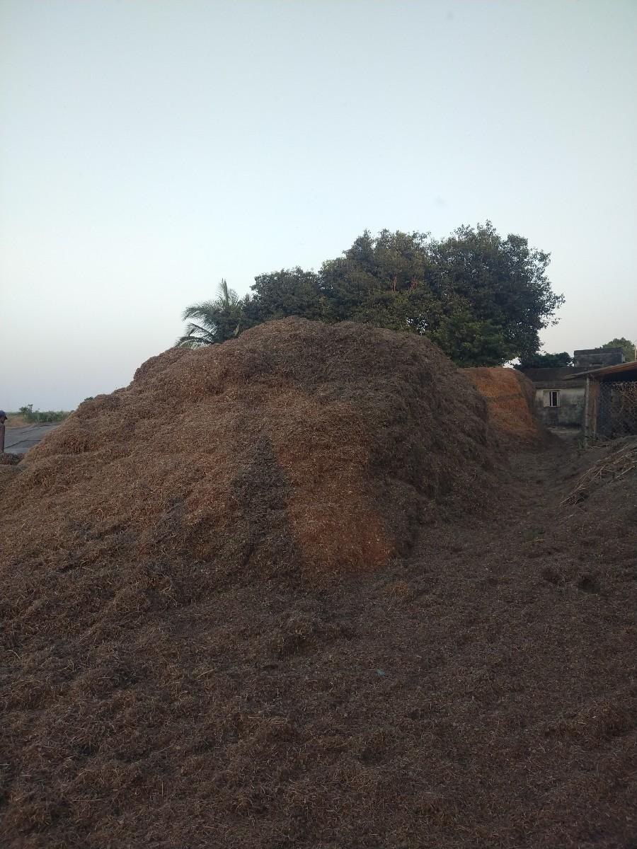 માંડવી નો ભૂકો વેચવાનો સૅ