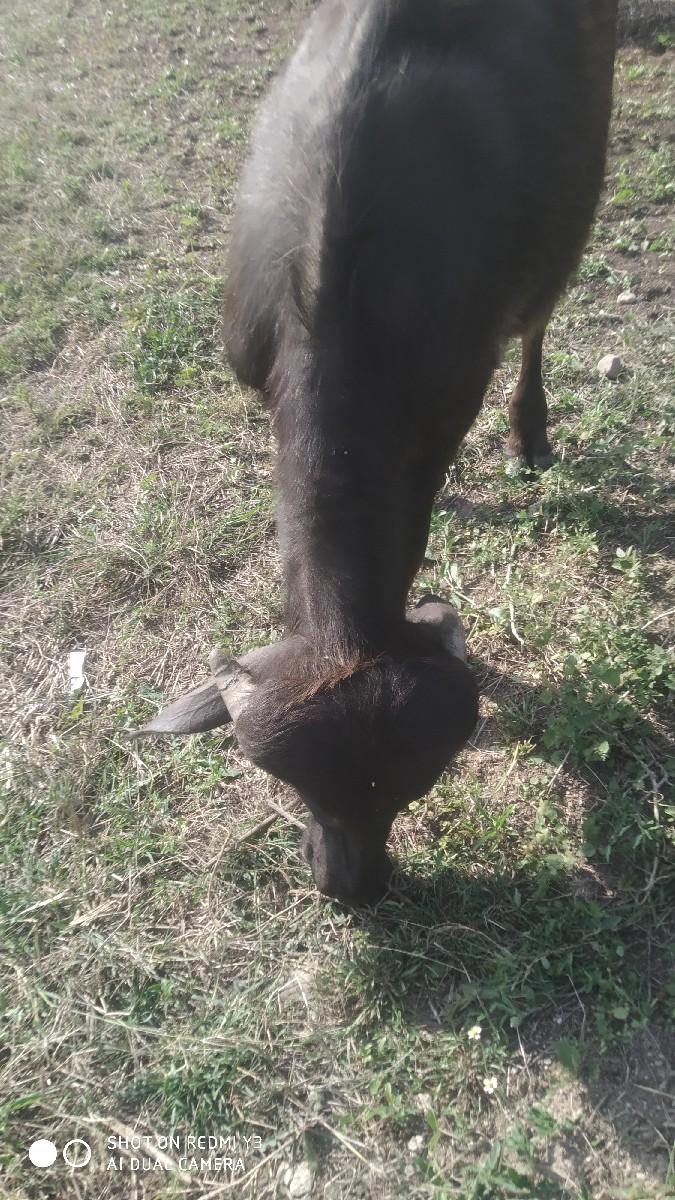 થંબનેલ 2