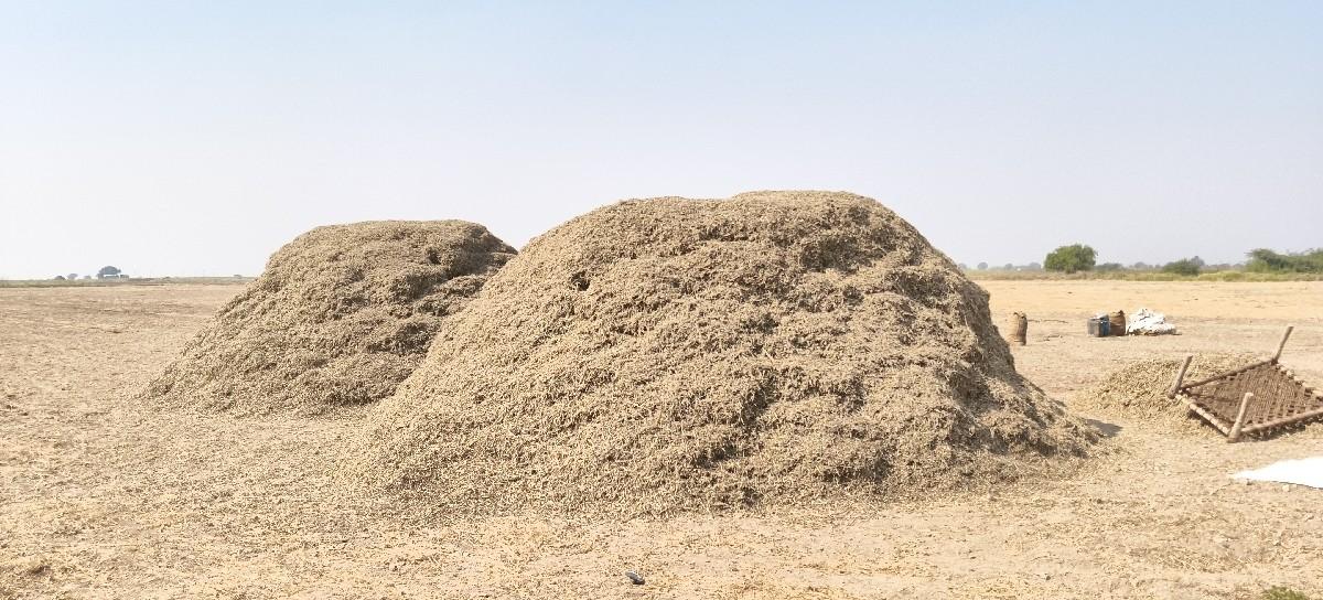 મોગોટુ દેવા નુ છે.