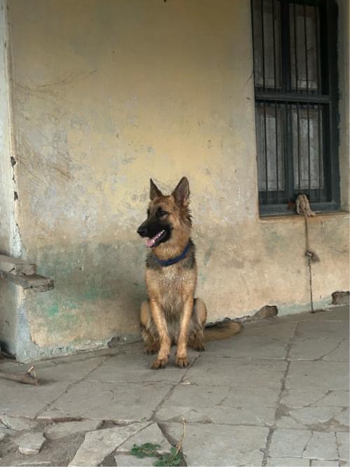 ફુલ જવાબદારી સાથે આપવાની છે