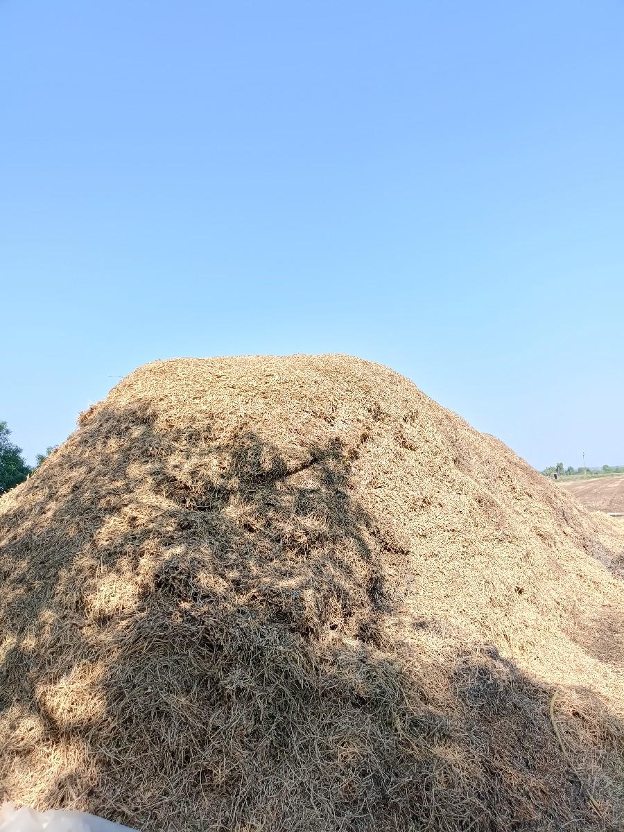 ભૂકો વેચવાનો છે