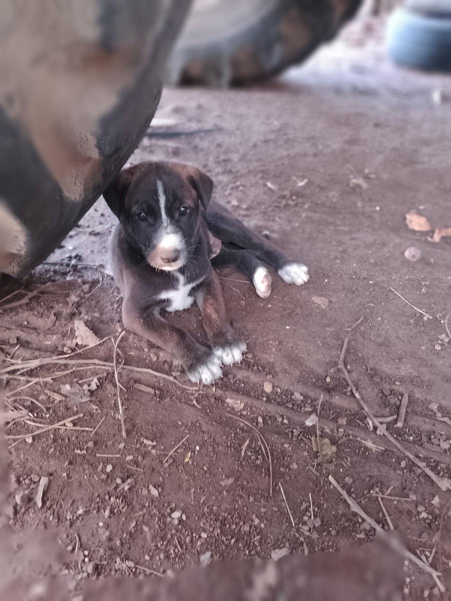 થંબનેલ 2