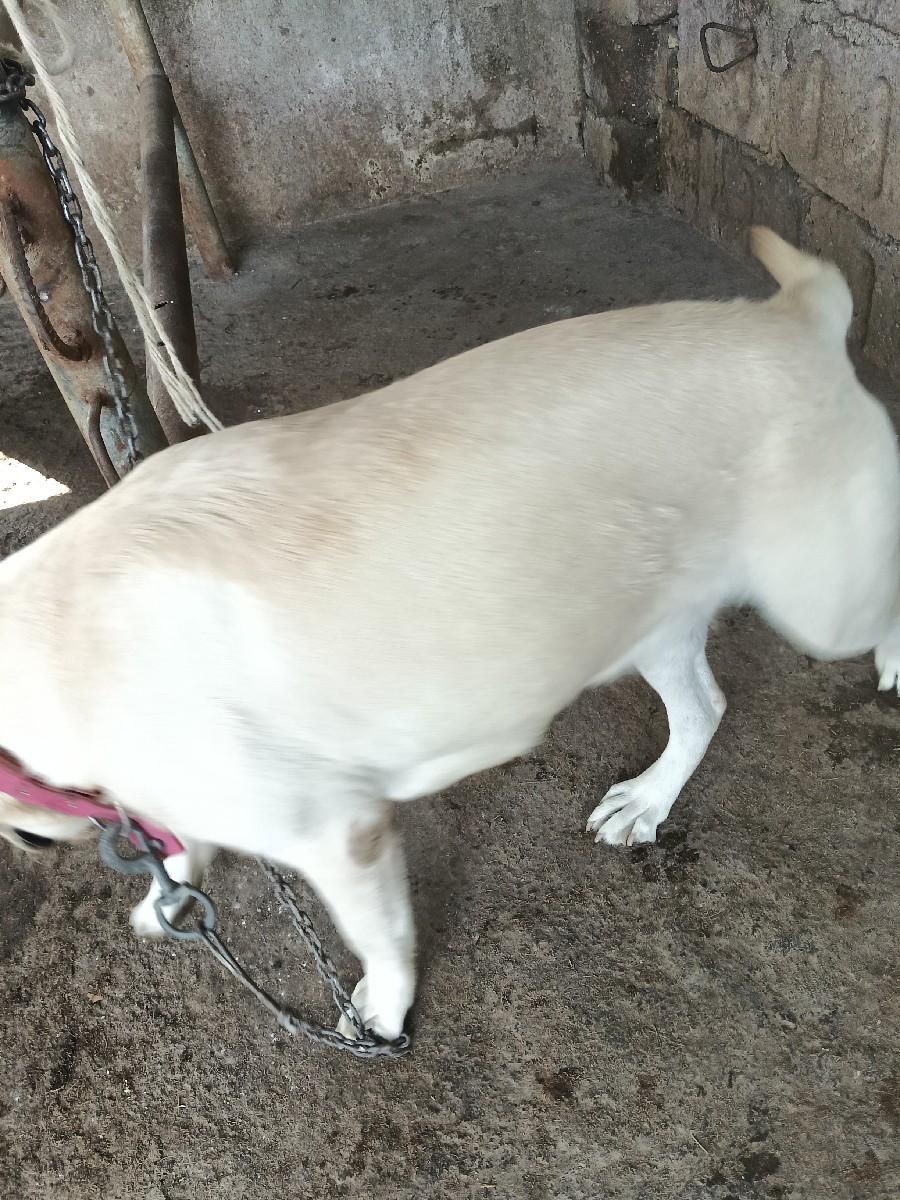 થંબનેલ 3