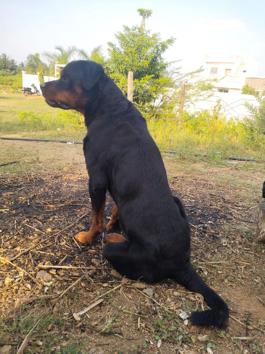 થંબનેલ 2