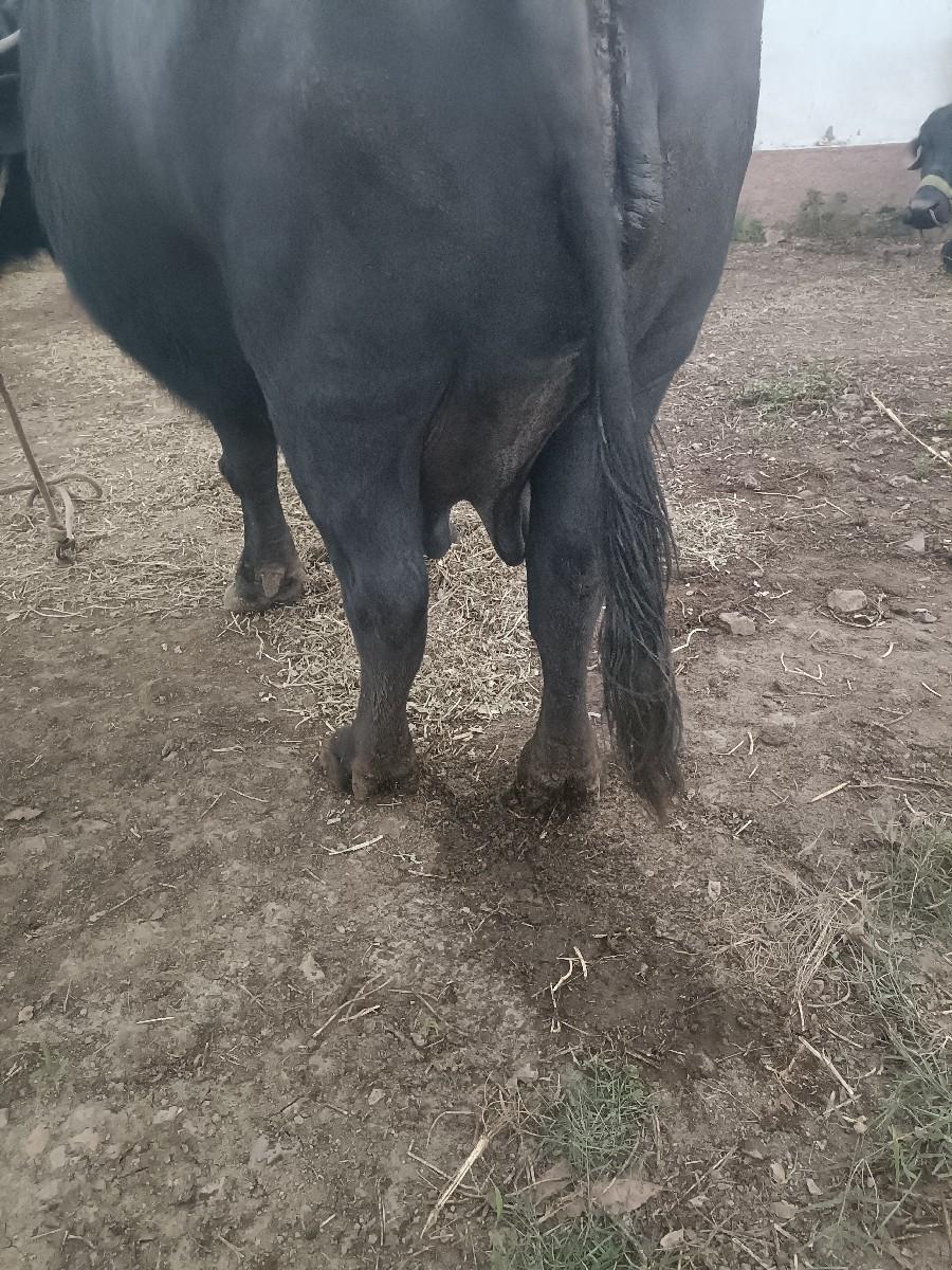 થંબનેલ 2