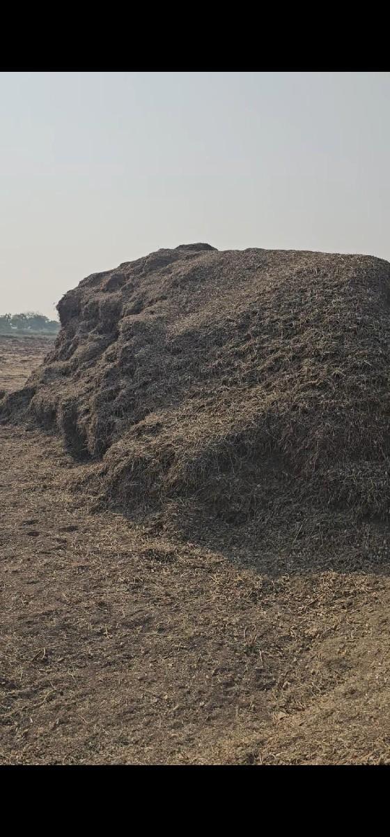 mandvi no palo vechvano che