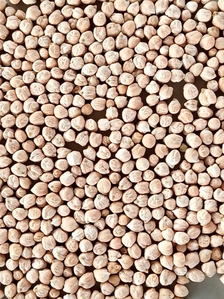 2 નંબર ચના