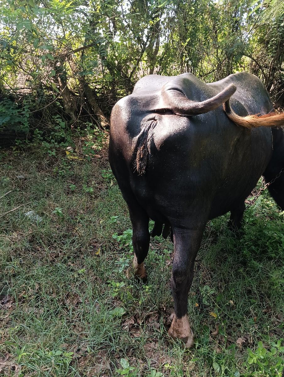 થંબનેલ 3