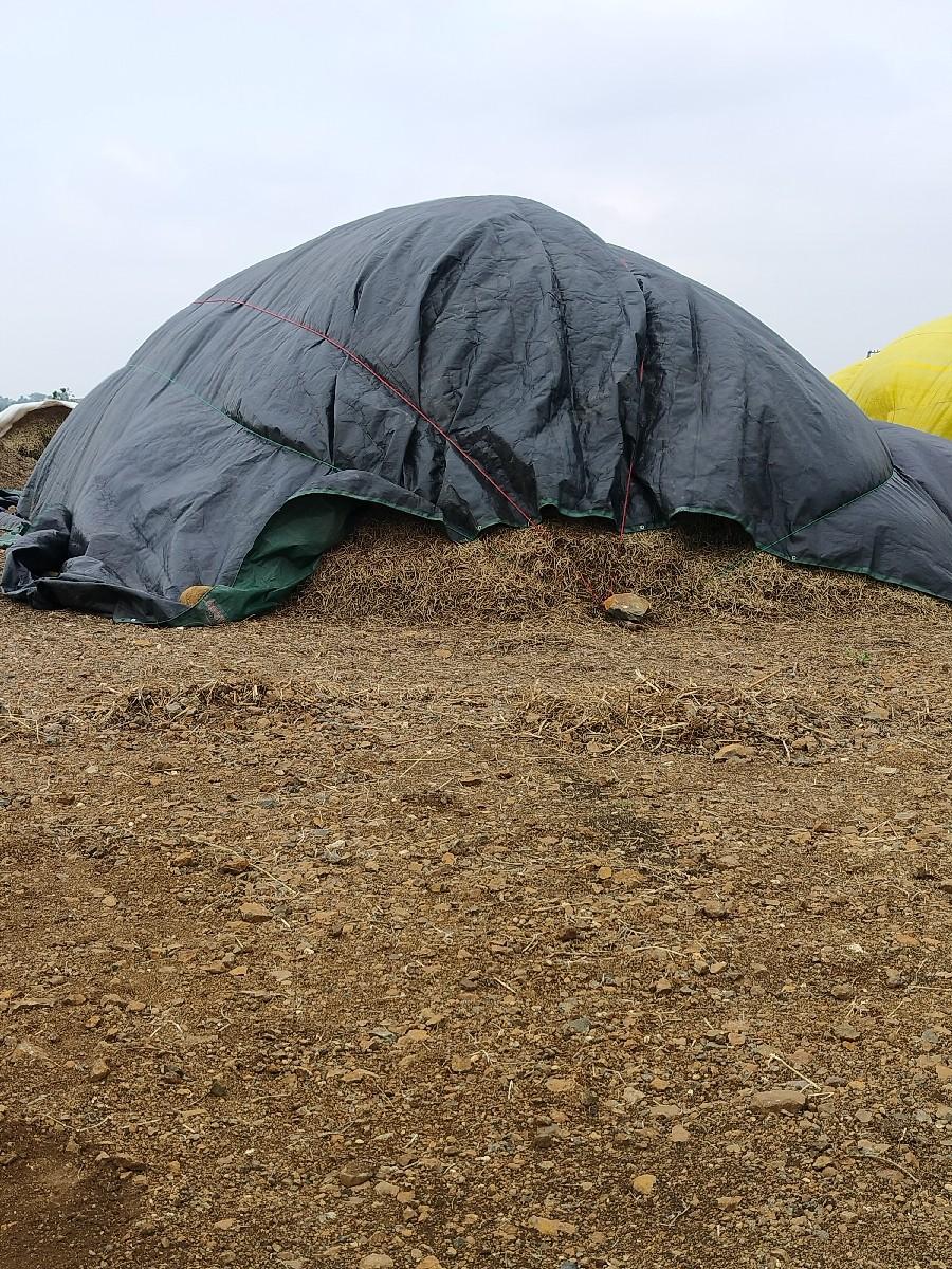 વીસ નંબર માંડવી નો ભુકો