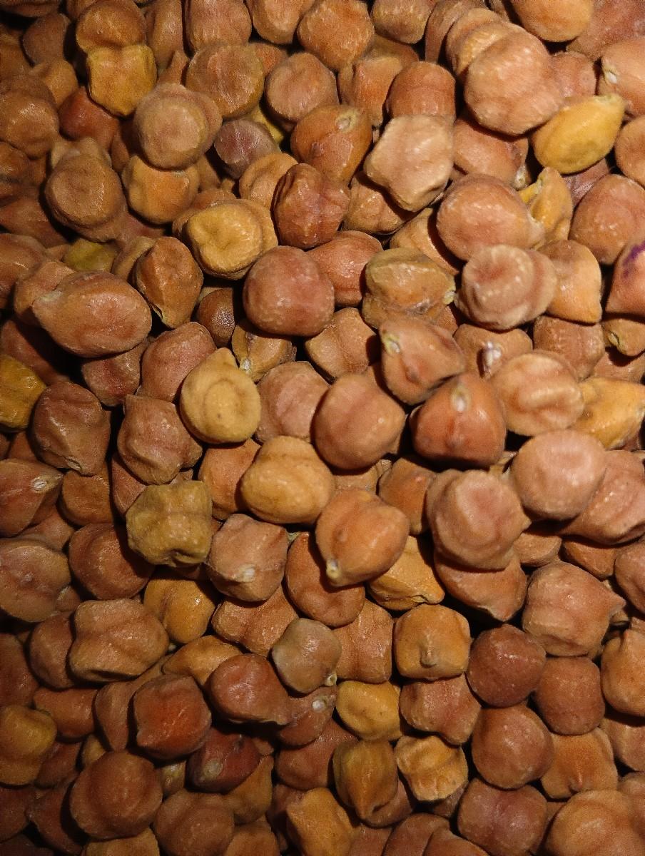 યુનિવર્સિટી ના ચણા 6 નં