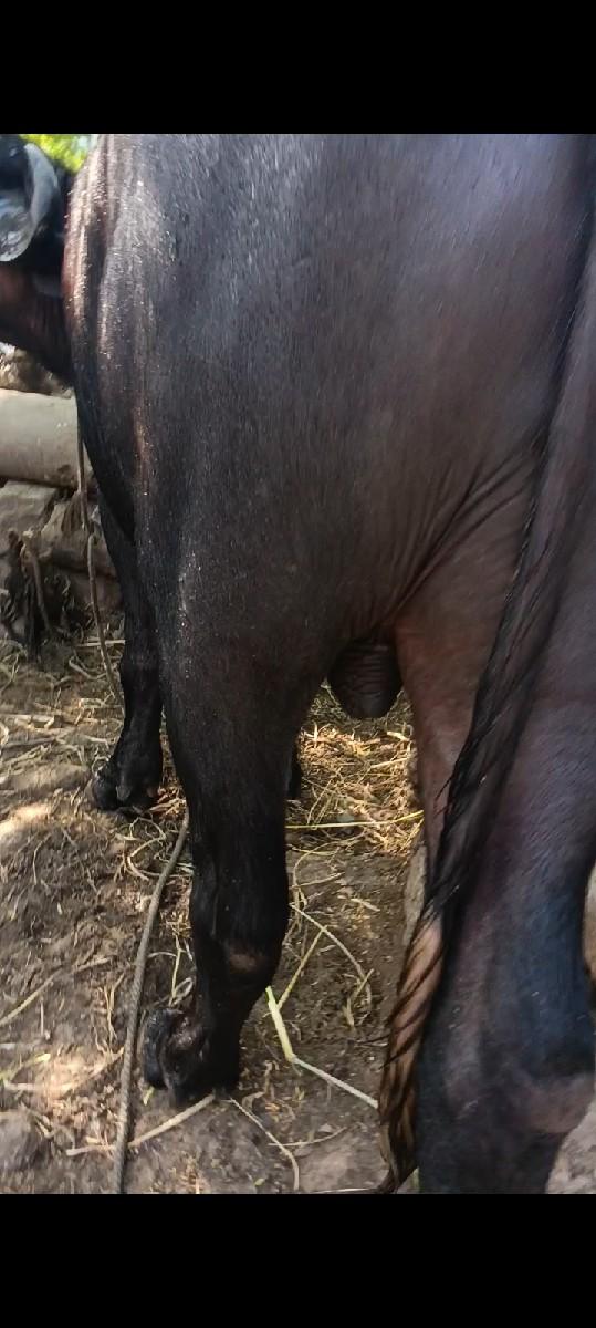 થંબનેલ 3