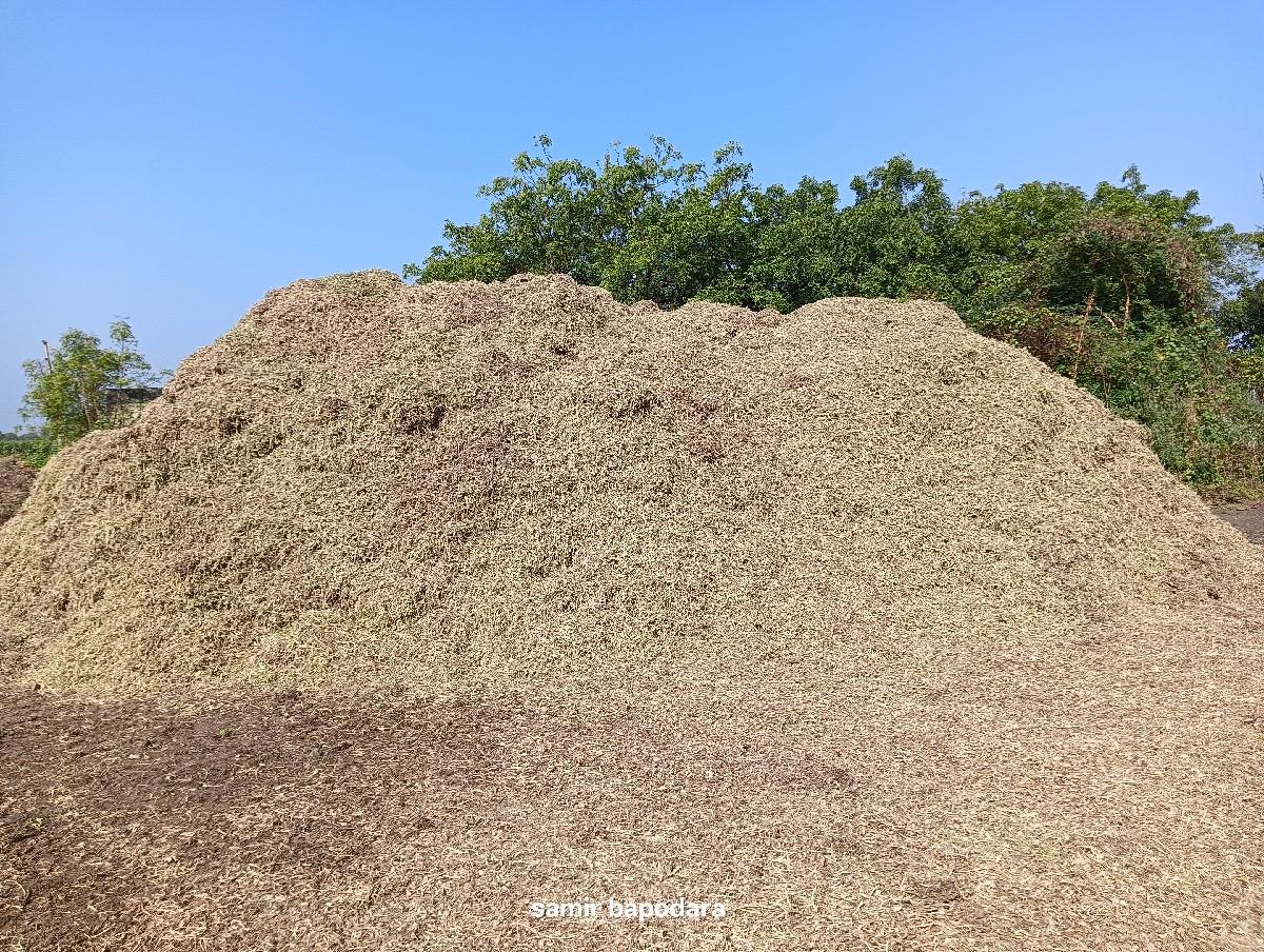 ભુકો વેચવાનો છે