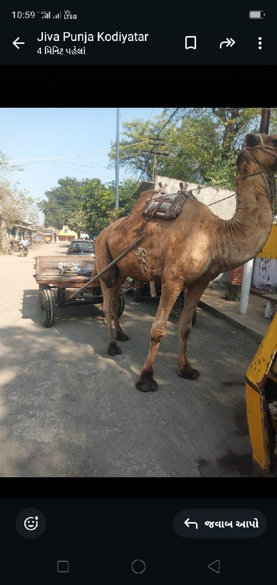 થંબનેલ 2